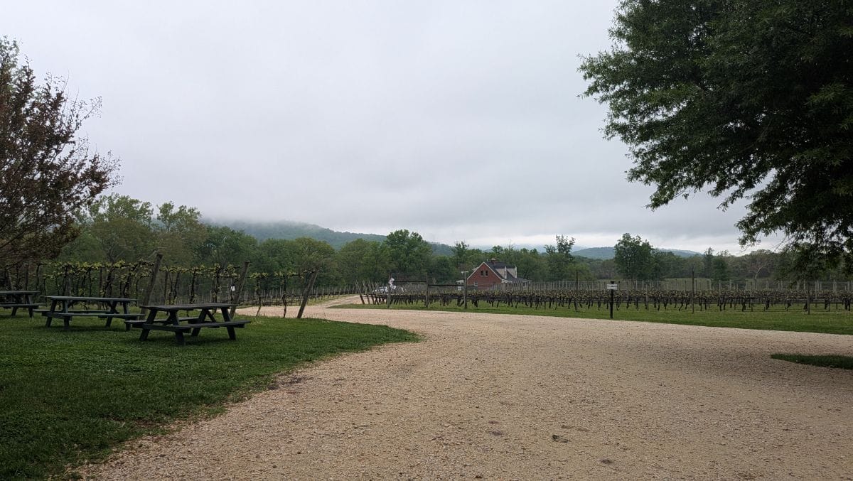 Rappahannock Cellars